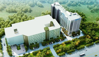 實際面試的是高新興機器人公司,他的子公司 看準網