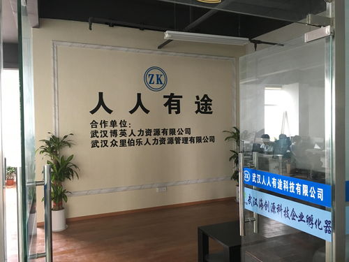 武漢人人有途科技